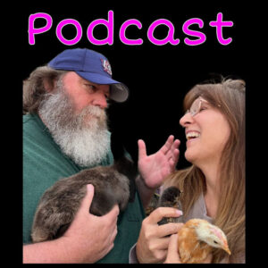 S2 Ep.19: “Rabbits, Doughnuts & Dads ear”